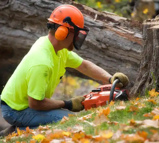 tree services Jessup